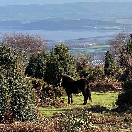 Exmoor Retreat On Two Moors Way Withypool Екстериор снимка