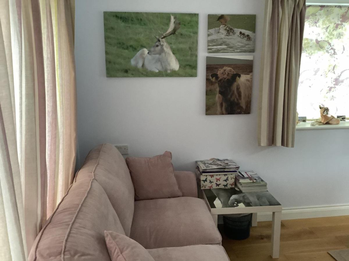 Exmoor Retreat On Two Moors Way Withypool Екстериор снимка