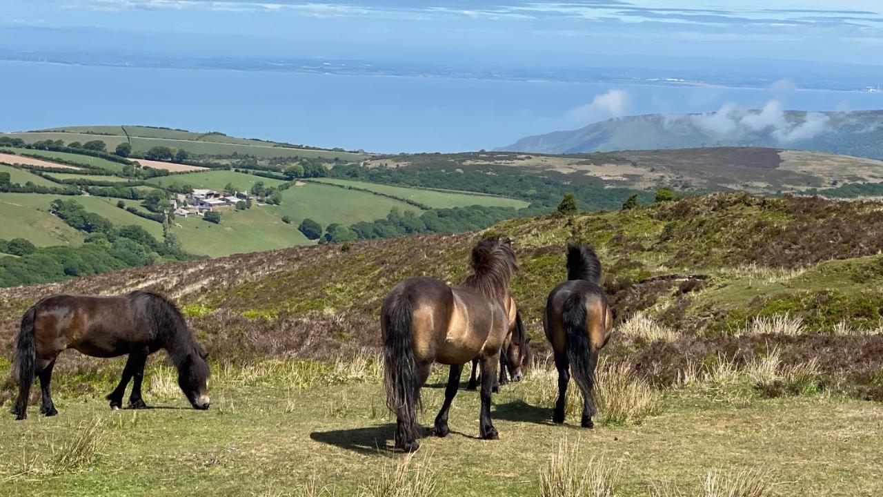Exmoor Retreat On Two Moors Way Withypool Екстериор снимка