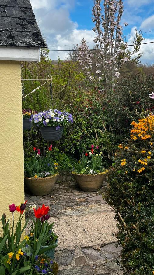 Exmoor Retreat On Two Moors Way Withypool Екстериор снимка