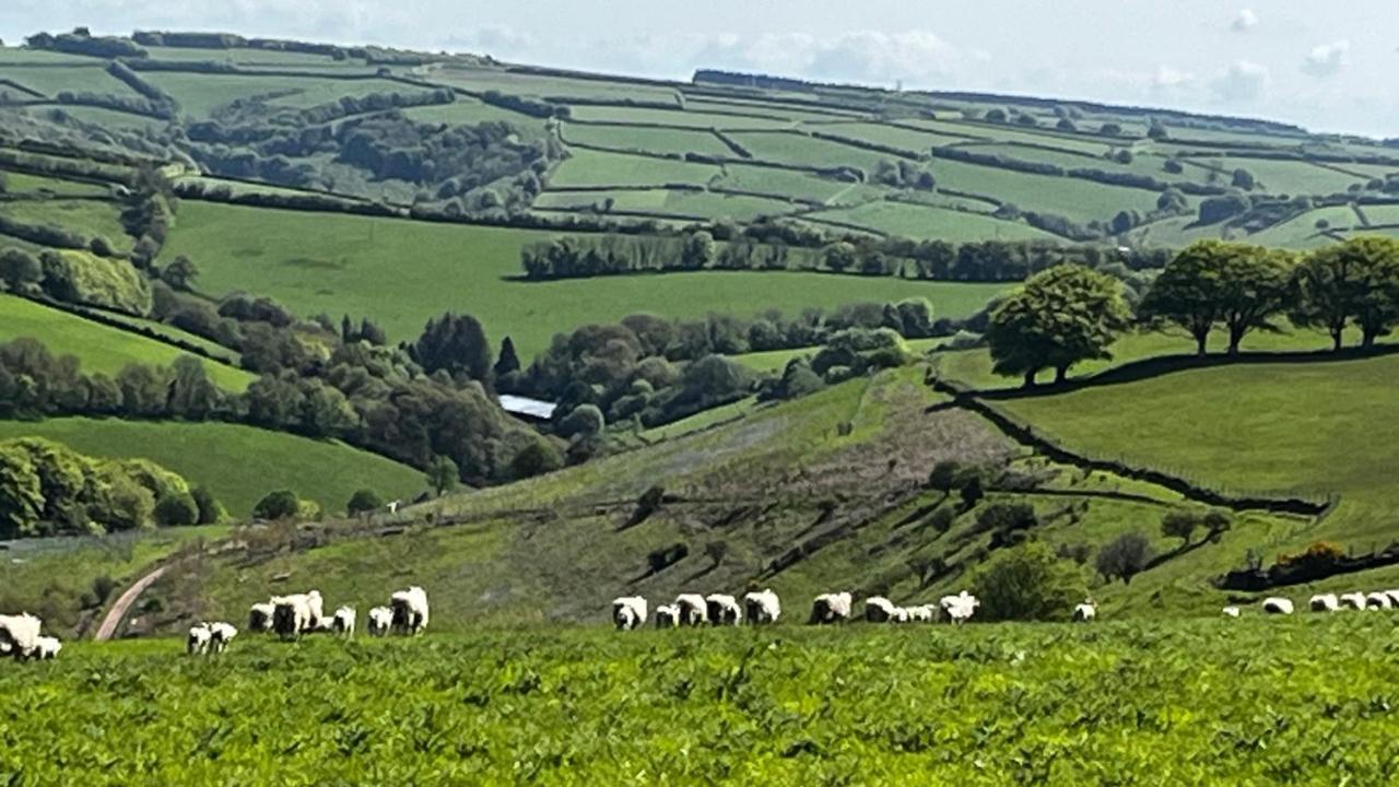 Exmoor Retreat On Two Moors Way Withypool Екстериор снимка