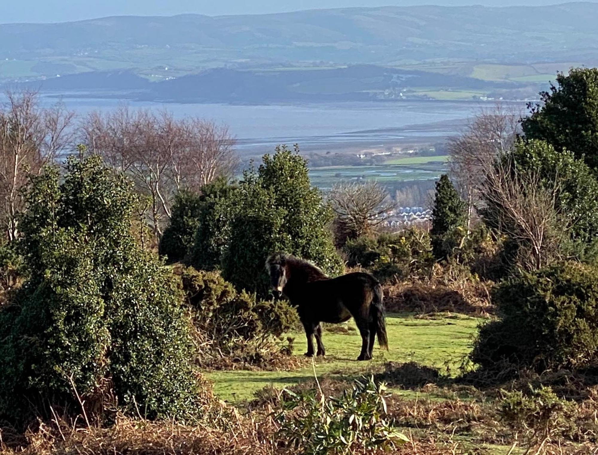 Exmoor Retreat On Two Moors Way Withypool Екстериор снимка