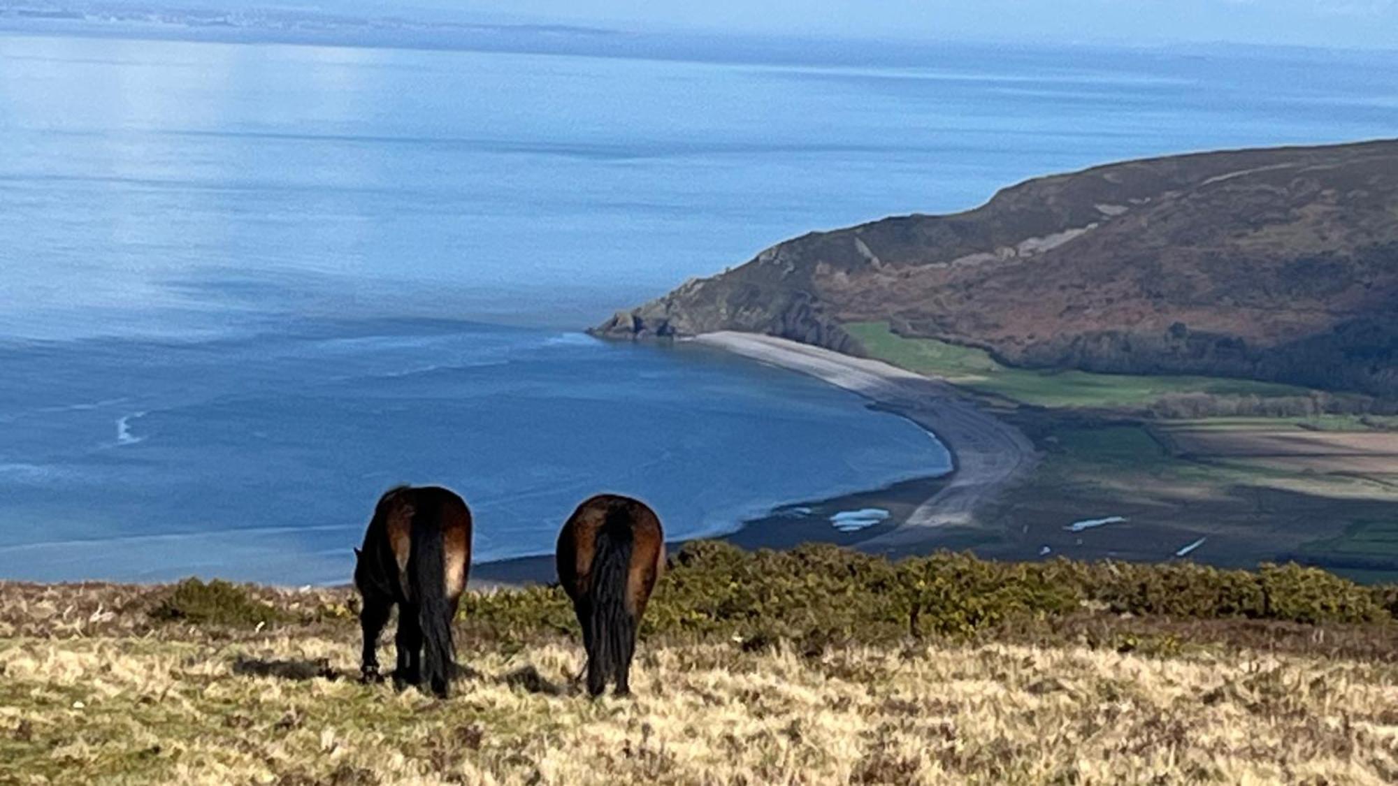 Exmoor Retreat On Two Moors Way Withypool Екстериор снимка